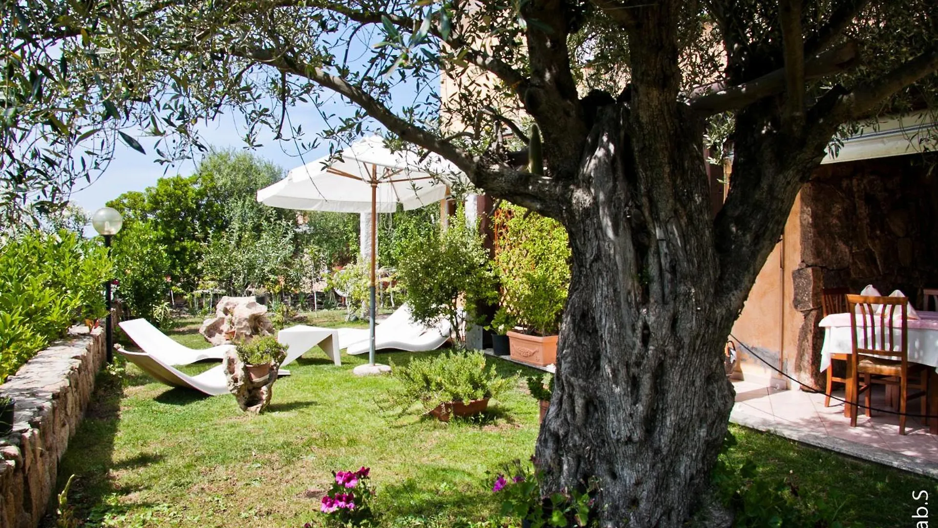 Hotel Alador Tanaunella